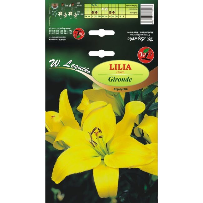 Lily - Gironde - Asijská - žlutá - 1 ks. - Cibule a oddenky - W. Legutko Lily - Gironde - Asijská - žlutá - 1 ks. - Cibule a oddenky - W. Legutko