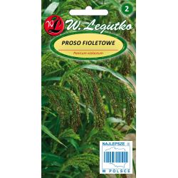Fialové a zelené proso - Semena - W. Legutko
