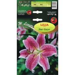 Lily - Star Gazer - orientální - červeno-růžová - 1 ks. - Cibule a oddenky - W. Legutko