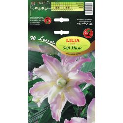 Lilia - Soft Music - orientální - plná - bílá a růžová - 1 ks. - Cibule a oddenky - W. Legutko Lilia - Soft Music - orientální - plná - bílá a růžová - 1 ks. - Cibule a oddenky - W. Legutko