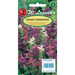 Šalvěj - trikolóra - směs - Semena - W. Legutko