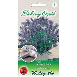 Levandule - léčivá - Semena - W. Legutko Levandule - léčivá - Semena - W. Legutko
