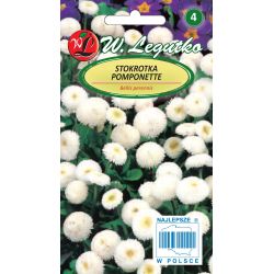 Sedmikráska obecná Pomponette - bílá - Semena - W. Legutko