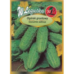 Okurka - mletá - na nakládání - Julian - 100g - Semena - W. Legutko