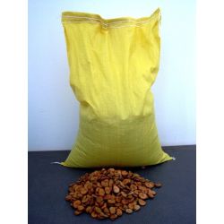 Fazol zahradní - White Windsor - 5000g - Semena - W. Legutko