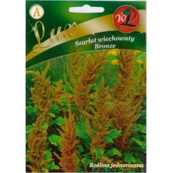 Amarant - paniculate - Bronz - Semena - W. Legutko Amarant - paniculate - Bronz - Semena - W. Legutko