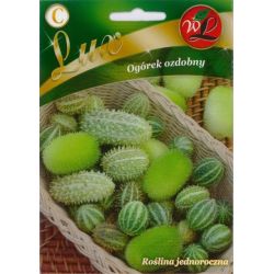 Okurka - okrasná - Semena - W. Legutko