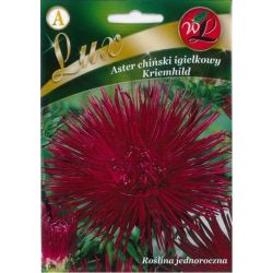 Astra - čínská - jehla - Kriemhild - Semena - W. Legutko Astra - čínská - jehla - Kriemhild - Semena - W. Legutko