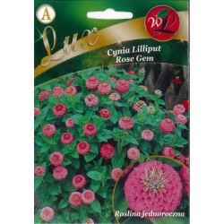 Cínie - liliput - růžový drahokam - Semena - W. Legutko