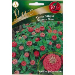 Cínie - rafinovaná - Lilliput - Lososový drahokam - Semena - W. Legutko