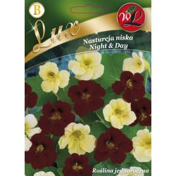 Nasturtium low - Night&amp;Day - Semena - W. Legutko