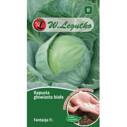 Bílé zelí - Fantazja F1 - 100 ks semínek - Semena - W. Legutko