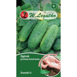 Venkovní konzervovaná okurka - Śremski F1 - 50 semen - Semena - W. Legutko