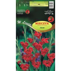 Mečík - trpaslík - Atom - Cibule a oddenky - W. Legutko