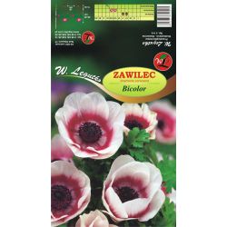 Sasanka - Bicolor - červená a bílá - 8 ks. - Cibule a oddenky - W. Legutko Sasanka - Bicolor - červená a bílá - 8 ks. - Cibule a oddenky - W. Legutko