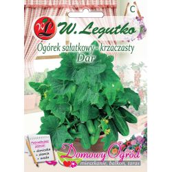 Okurka - mletý salát - Dárek - Semena - W. Legutko