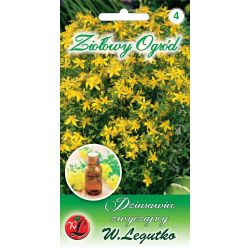 Třezalka tečkovaná – obyčejná - Semena - W. Legutko