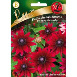 Rudbeckia - bicolor - Cherry - Semena - W. Legutko