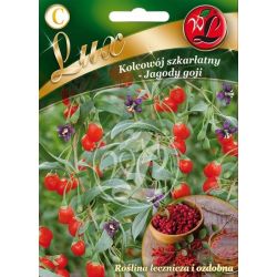 Wolfberry - šarlatový - Goji bobule - Semena - W. Legutko