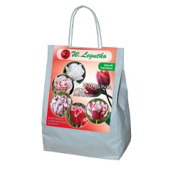 Červené a bílé složení - 20 ks. - Cibule a oddenky - W. Legutko Červené a bílé složení - 20 ks. - Cibule a oddenky - W. Legutko