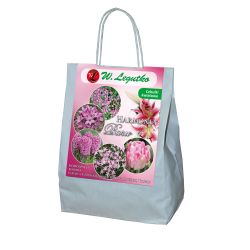 Růžové složení - 35 ks. - Cibule a oddenky - W. Legutko Růžové složení - 35 ks. - Cibule a oddenky - W. Legutko