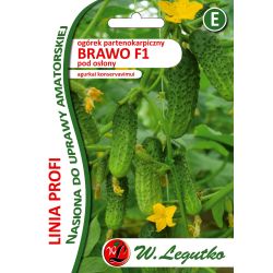 Okurka - venkovní - pod krytem - Brawo F1 - Semena - W. Legutko