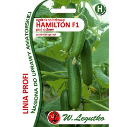 Okurka - skleník - Hamilton F1 - Semena - W. Legutko