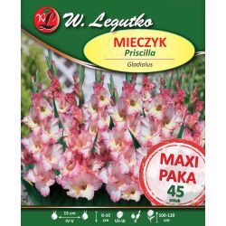 Mečík - mnohokvětý - Priscilla - růžový - 45 ks. - Cibule a oddenky - W. Legutko Mečík - mnohokvětý - Priscilla - růžový - 45 ks. - Cibule a oddenky - W. Legutko