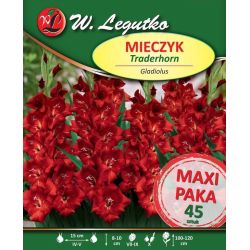 Mečík - vícekvětý - Traderhorn - červený - 45 ks. - Cibule a oddenky - W. Legutko Mečík - vícekvětý - Traderhorn - červený - 45 ks. - Cibule a oddenky - W. Legutko