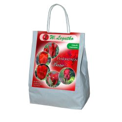 Červené složení - 25 ks. - Cibule a oddenky - W. Legutko Červené složení - 25 ks. - Cibule a oddenky - W. Legutko