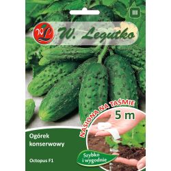 Mletá okurka - Chobotnice F1 - 5 m páska - Semena - W. Legutko