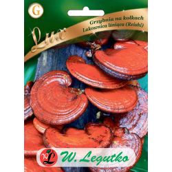 Mycelium na čepech - Lesklý mycelium - Reishi - Semena - W. Legutko Mycelium na čepech - Lesklý mycelium - Reishi - Semena - W. Legutko