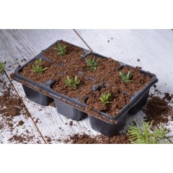 Paleta - 6 květináčů - Zahradní doplňky - W. Legutko Paleta - 6 květináčů - Zahradní doplňky - W. Legutko