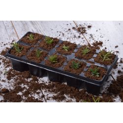 Paleta - 10 hrnců - Zahradní doplňky - W. Legutko Paleta - 10 hrnců - Zahradní doplňky - W. Legutko