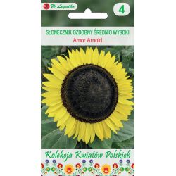Polish Flowers - Středně vysoká okrasná slunečnice - Amor Arnold - Semena - W. Legutko