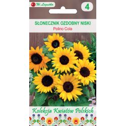 Polské květiny - Okrasná slunečnice - Polino Cola - Semena - W. Legutko