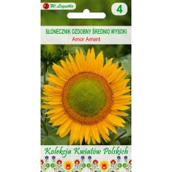 Polské květiny - Okrasná slunečnice - Amor Amant - Semena - W. Legutko
