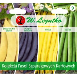 Kolekce trpasličích zelených fazolí - 4 odrůdy - Semena - W. Legutko