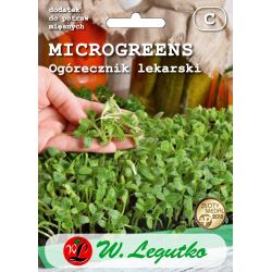 Brutnák lékařský - Semena - W. Legutko