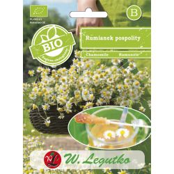 Heřmánek pravý - obyčejný - Semena - W. Legutko Heřmánek pravý - obyčejný - Semena - W. Legutko