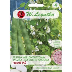 Runner fazole pro suchá semena - Piękny Jaś - us. ostřílený - Semena - W. Legutko