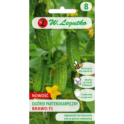 Nakládaná okurka pod potahy - Brawo F1 - Semena - W. Legutko