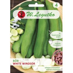 Zahradní bob obecný - Windsor White - nám. ostřílený - Semena - W. Legutko