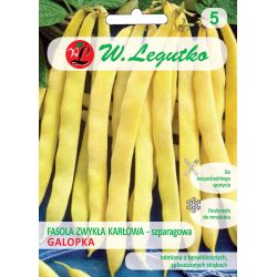 Zelené fazolky - Galopka - Semena - W. Legutko