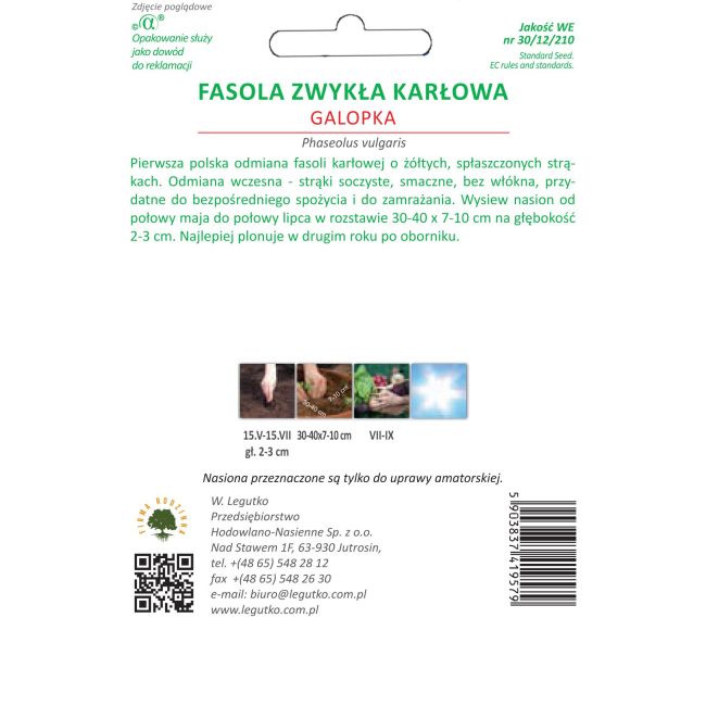 Zelené fazolky - Galopka - Semena - W. Legutko