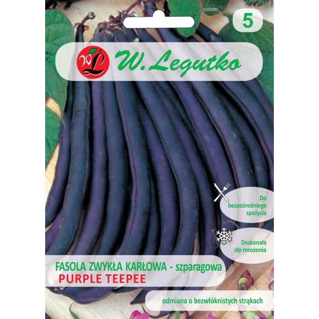 Fazole - zelené fazolky - Purple Teepee - Semena - W. Legutko Fazole - zelené fazolky - Purple Teepee - Semena - W. Legutko