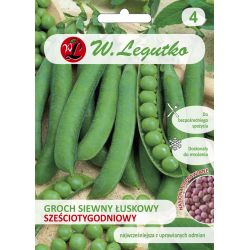 Loupaný hrášek - Šest týdnů starý - nám. ostřílený - Semena - W. Legutko