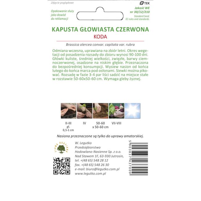 Zelí - červená hlava - Koda - Semena - W. Legutko