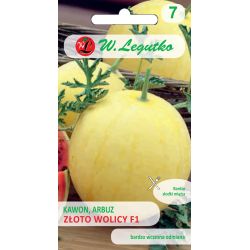 Meloun - Meloun - Złoto Wolicy F1 - Semena - W. Legutko