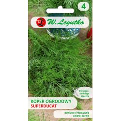 Kopr zahradní - Superducat - Semena - W. Legutko